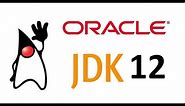 Download and install Oracle JDK 12