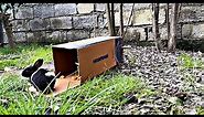 Rabbit Trap Training | Learn how to make a simple rabbit trap