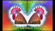 STONEBRIDGE BIRD DISTRICT : HAPPY BIRTHDAY CHICKEN SONG.