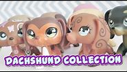All My Lps Dachshunds || LPS Dachshund Collection