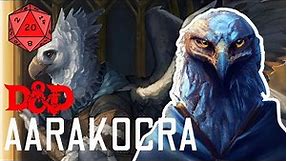 What is an Aarakocra in D&D? #dnd #dungeonsanddragons