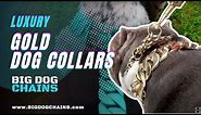 BIG DOG CHAINS | Luxury Gold Dog Collars
