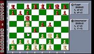 The Chessmaster 3000 © 1991 Software Toolworks - PC DOS - Gameplay