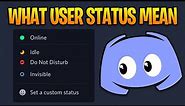 What Each Discord User Status Mean