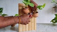 5 Easy Eco friendly Terracotta Planter Ideas For House Plants You'll Love//GREEN PLANTS