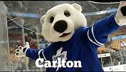 Funko Pop! Mascot Monday Episode 25 Toronto Maple Leafs Carlton