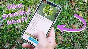 The EASIEST Way to Identify Weeds & Plants