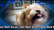Get Well Soon Doggy E Greeting Card