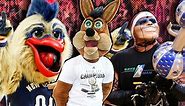 Who is Crunch the Wolf? Minnesota Timberwolves — NBAMascots.com