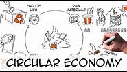 Circular Economy: definition & examples | Sustainability Environment