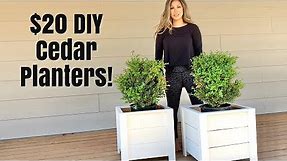 Easy Build DIY Planter Box