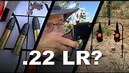 .22 Long Rifle - What are they good for?
