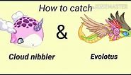 How to catch Cloud nibbler and Evolotus in Prodigy