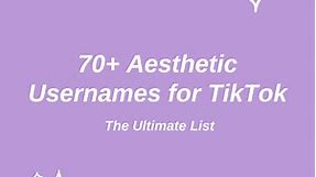 70  Aesthetic Usernames for TikTok: The Ultimate List