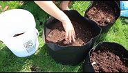 How to grow Potatoes In Containers - Complete Growing Guide