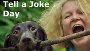 Tell a Joke Day (August 16) - Activities and How to Celebrate Tell a Joke Day