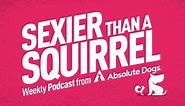 The Sexier than a Squirrel Podcast: Keep Calm and Play Games