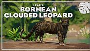 Bornean Clouded Leopard - New Species (1.14)
