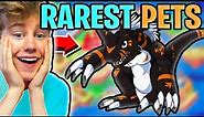 My Top 5 *RAREST and BEST* PETS In PRODIGY!!!