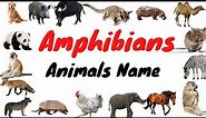 Learn about Amphibians || Amphibians Animal Names In English || Types of Amphibians Animal Names
