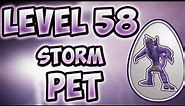 Wizard101: - Level 58 Storm Pet Quest -