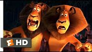 Madagascar: Escape 2 Africa (2008) - The Lion Dance Scene (9/10) | Movieclips