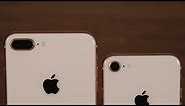 iPhone 8 vs iPhone 8 Plus: Camera Differences You Need To Know