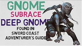 Race #4.1: Gnome --- Deep Gnome (DnD 5E Races)