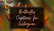 BEST Butterfly Captions And Quotes For Instagram In 2024
