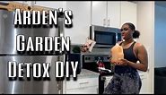 Arden’s Garden 2 Day Detox DIY | Detox under $20