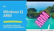 Run Windows 11 Client ARM64 Insider Preview in Apple Silicon with VMware Fusion