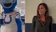 the pie is inevitable 😂 | Blue Indianapolis Colts Mascot