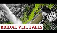 Waireinga / Bridal Veil Falls : Raglan (NZ Waterfalls)