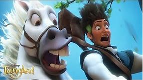 Tangled - Maximus And Flynn Funny Moments