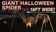 DIY GIANT HALLOWEEN SPIDER