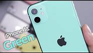 Green iPhone 11 Unboxing & First Impressions!