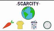 Introduction to Economics: Scarcity and Opportunity Cost