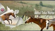 AKHAL TEKE HORSE, war and desert horses, with a unique appearance, ORIGIN OF THE BREEDS