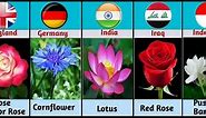 National Flower All Countries||National Flower By Countries