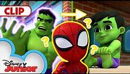 Hulk Turns Into a Baby 🍼 | Marvel's Spidey and his Amazing Friends | @disneyjunior