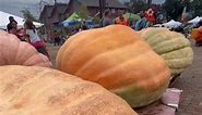 The River Prairie Ginormous Pumpkin Festival in Altoona, WI 🎃 was an absolute blast! They have fun for all ages! Mark your calendars for Sept 2024! Visit Eau Claire, WI #wisconsin #pumpkin #pumkinpatch #giantpumpkin #fall #eauclaire #altoonawi #visiteauclaire | Meanwhile in Wisconsin