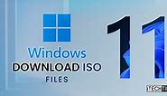 Download Windows 11 ISO Files (64-bit Official Links)