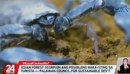 Kuya Kim gives tips on what to do when scorpion stings