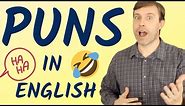 PUNS IN ENGLISH | Examples of a Play on Words