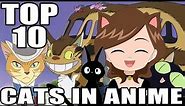 TOP 10 CATS IN ANIME!