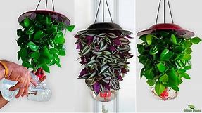Amazing Hanging Plants Ideas | Indoor Hanging Plants and Planters Making at Home //GREEN PLANTS