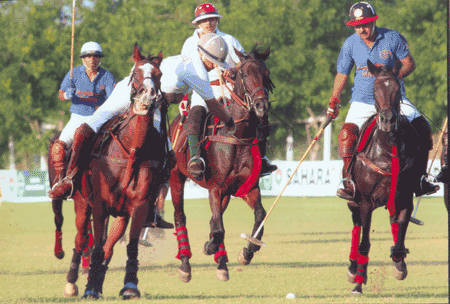 Polo in Rajasthan - Famous Game in Rajasthan | KreedOn