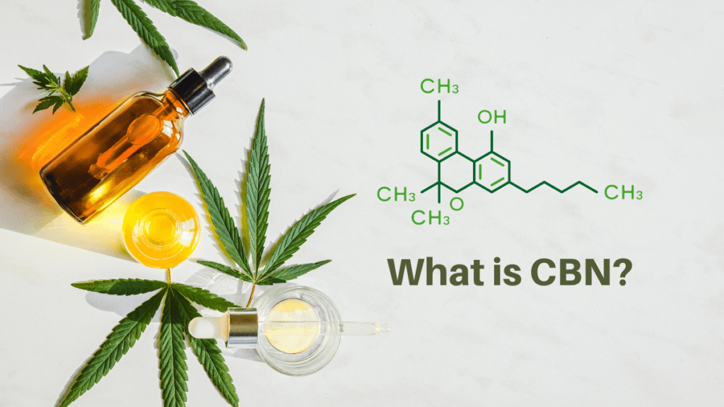 CBN: What Is Cannabinol (CBN) & Why Is It Getting So Much Attention?
