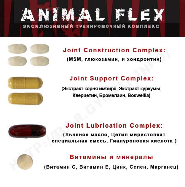 Animal flex состав по таблеткам