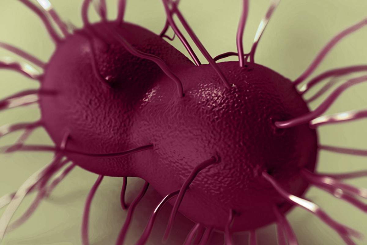 Gonorrhea Virus Image
